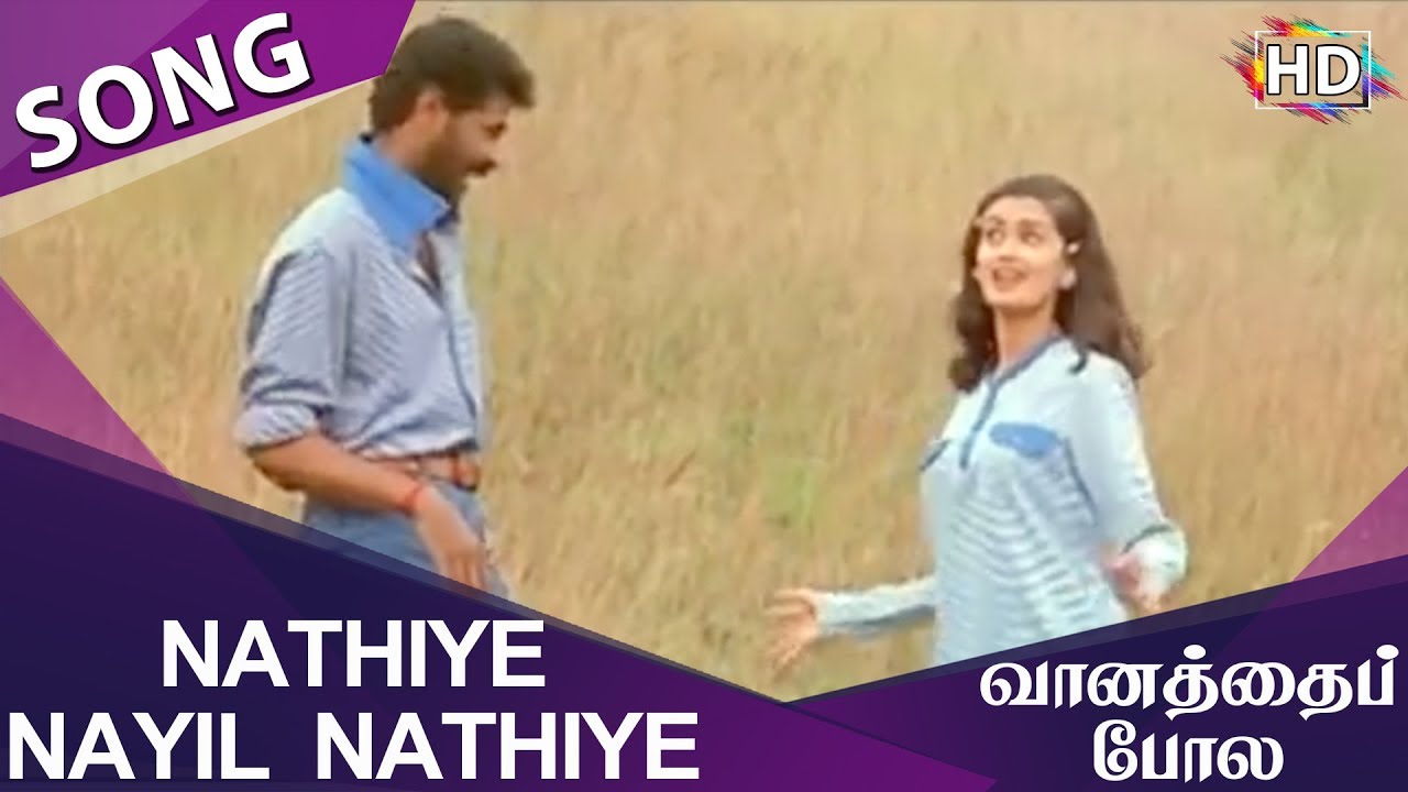 Nathiye Adi Nayil Nathiye Song Lyrics | Vaanathaippola | Sukhwinder Singh, Anuradha Sriram