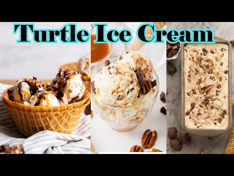 Turtle Ice Cream Recipe | Turtle Ice Cream | Chunky Turtle Ice Cream | Turtle Ice Cream Dessert