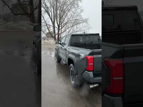 2026 Toyota Tacoma in Gray for sale at Forbes Waterloo Toyota in Waterloo, ON