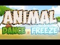 Animal Dance and Freeze | Fun Movement Brain Break | Jack Hartmann