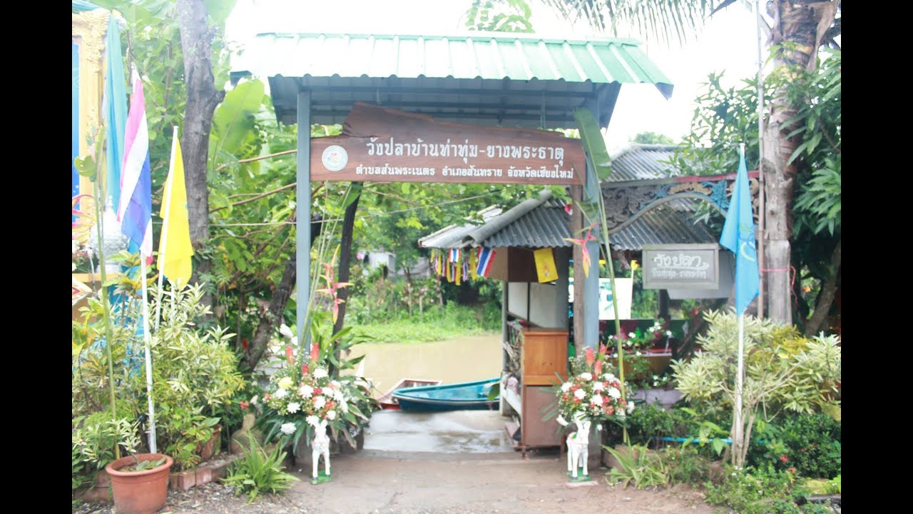 Wang Pla Ban Tha Thum-Yang Phra That
