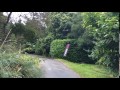 Pigeon (Mike & Mavis) Release