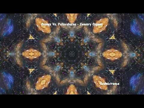 Cronyx Vs. Psilocyburns - Sensory Organs - Hekwapi Records - 2020