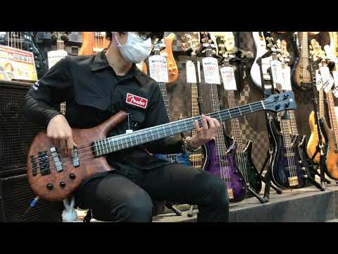 Warwick Custom Shop Thumb Bass 4st-Natural Oil Finish-