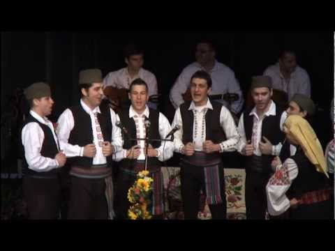 Ansambl Etnofonija - Kazuj pravo šikaro zelena