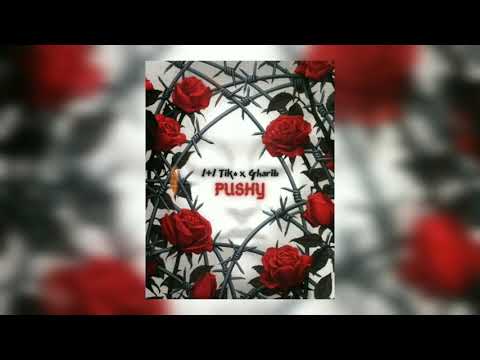1+1 TiKo /  Gharib - Pushy ( Music 2021 )