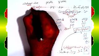 11 √ تنويع المبنيات image