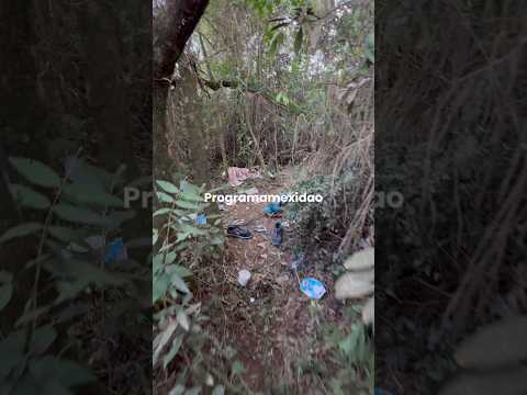 Onde “ Lázaro “ de Antônio Carlos se escondia ? Você ficou sabendo da história completa ?