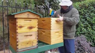 Preparing the Hives for Winter - 2017