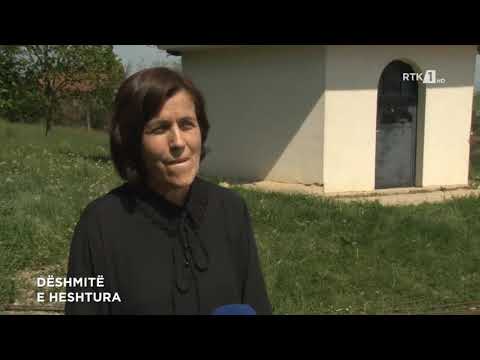 DËSHMITË E HESHTURA - KUJDES! PAMJE TË RËNDA.  25.05.2021