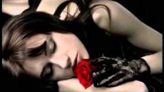 LA DONNA DEL MIO AMICO... I POOH