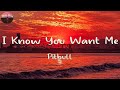 Pitbull - I Know You Want Me (Lyrics) | I know you want me you know I want cha (TikTok)