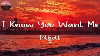 Pitbull - I Know You Want Me (Lyrics)  I know you 