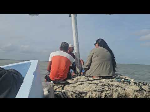 RETORNO PARA APICUM AÇU- MA  QUEREMOS AGRADECER AO SR.ANTONIO POR PROPORCIONAR  ESTE MOMENTO ÚNICO.