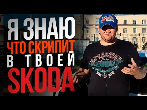 Шкода рапид сверчки