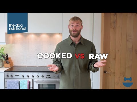 Raw dog food vs cooked dog food | Dog Nutrition Lessons | Ep 9.