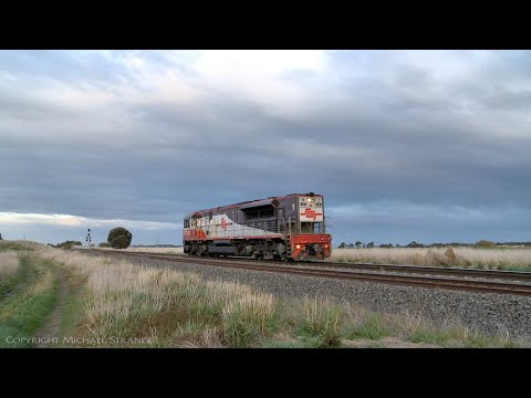 D283V SCT003 Diesel Locomotive / Light Engine (15/8/2021) - PoathTV Australian Trains & Railways