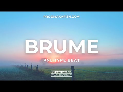 [FREE] PNL Type Beat "Brume" - Instru Rap Cloud/Planant