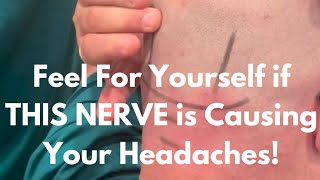 How to Check To See if Your Chronic #headache is Coming from an Occipital Nerve Entrapment