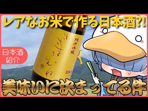 【日本酒紹介】レアなお米を使った日本酒があると聞いて!【 #ささまさむね 】 #PR