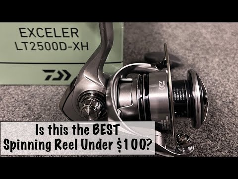 Ist die Daiwa Exceler LT die beste Spinnrolle unter 100 Dollar?