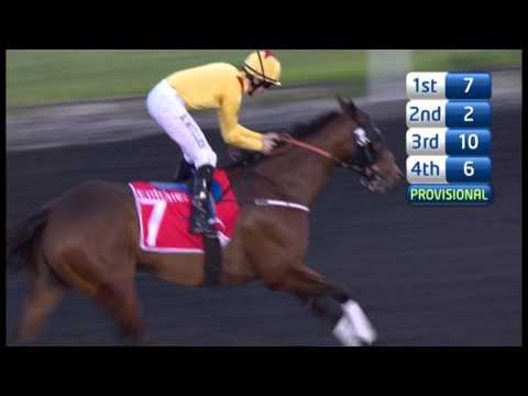 09.03.2013 Meydan (Dubai-UAE) 4.Race Mahab Al Shimaal 2013 - Group III 1.200 m