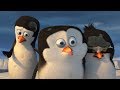 DreamWorks Madagascar En Español Latino Eso Es Asqueroso Clip De Los Pingüinos De Madagascar