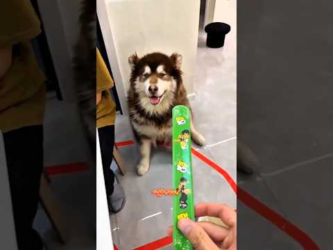 حبّ الأساور 💫💖