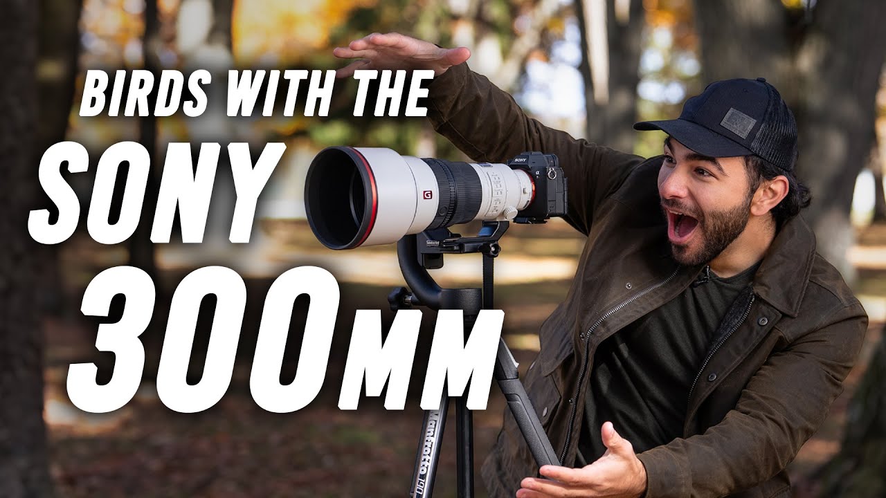 Video thumbnail for Video Review 1