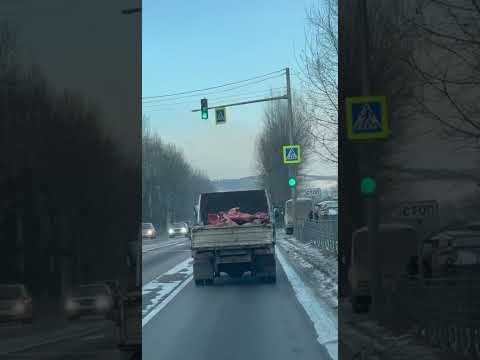 #АТВпишут На Бурводе вот так мясо перевозят