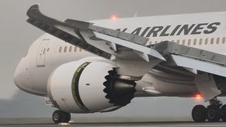 preview picture of video 'Boeing 787 Dreamliner Lands'