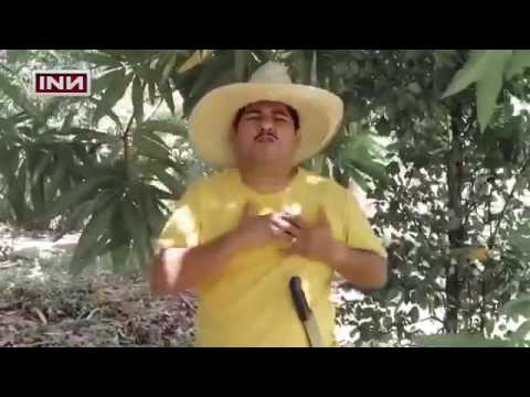 poema de un nicaragüense enamorado