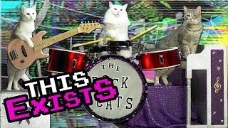 Cats play in all-cat band