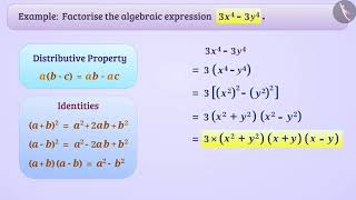 Factorisation using identities | Part 2/3 | English | Class 8