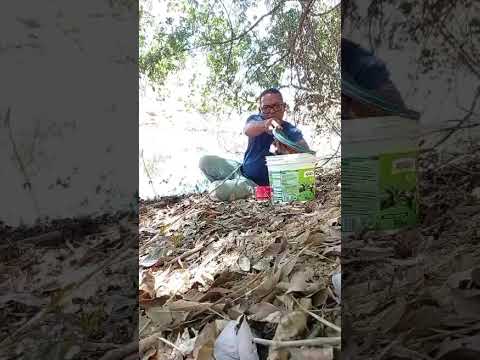 Pescaria em Minas gerais boa de piau
