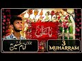 3 Muharram Juloos Vlog Karbala Imam Hussain