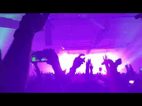 Bass Head Griz Remix