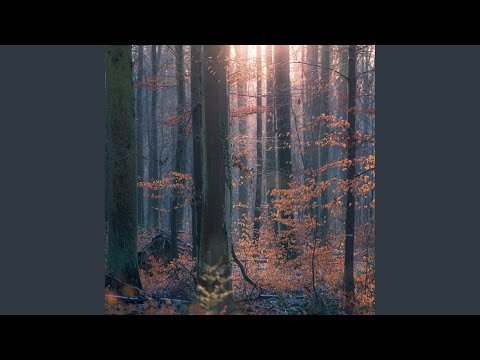 Video thumbnail for I Just Called To Say I Love You