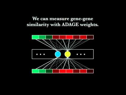 Data Driven "Pathway" Analysis with ADAGE