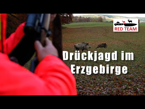 Hubertus Hunt in the (Czech) Ore Mountains | Driven hunt with @WildboarFanatic
