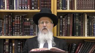 הגאון הרב אברהם יוסף שליט"א משחרב בית המקדש תקנו חז"ל שיהיה זכר לחורבן (הרב אברהם יוסף) - התמונה מוצגת ישירות מתוך אתר האינטרנט יוטיוב. זכויות היוצרים בתמונה שייכות ליוצרה. קישור קרדיט למקור התוכן נמצא בתוך דף הסרטון