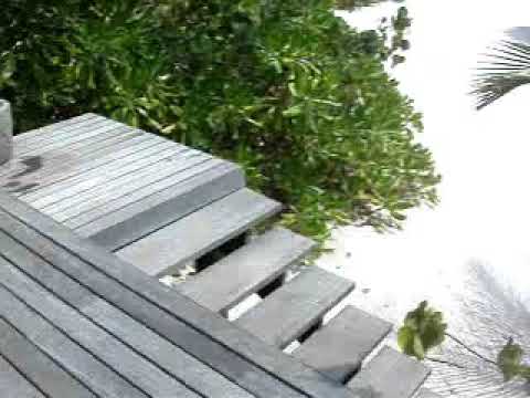 Fausta Gangehi Ari Nord maldive 09 @ giro turistico