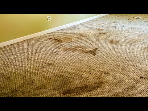 Abandoned Murder House- Man Shoots Son, Murders Daughter & Commits Suicide. Sad Story!