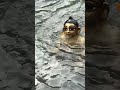 Gopal ji taking snan (Bath) in Yamuna River