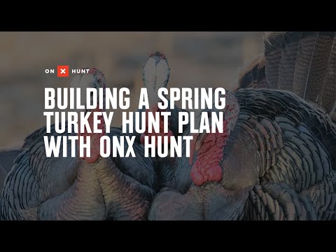 Build Your Spring Turkey Hunt Plan