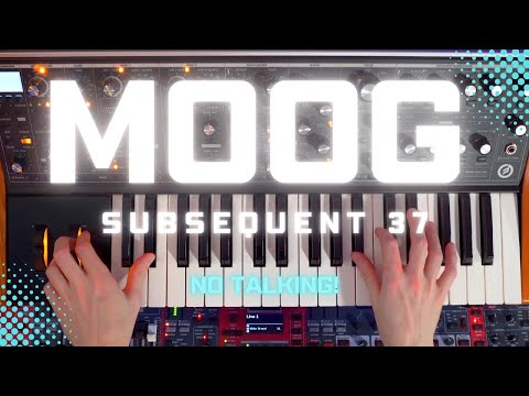 Moog Subsequent 37 Analog Synth 2017 - Present - Black image 17
