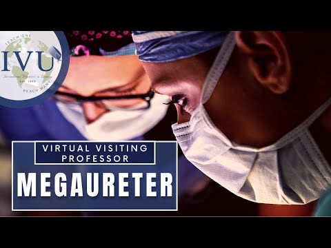 IVUmed VVP: VUR Megaureter and Re-Implantation Techniques