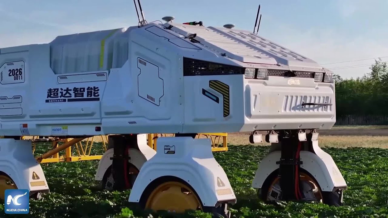 Robots inteligentes entran en los campos de algodón de Xinjiang, China