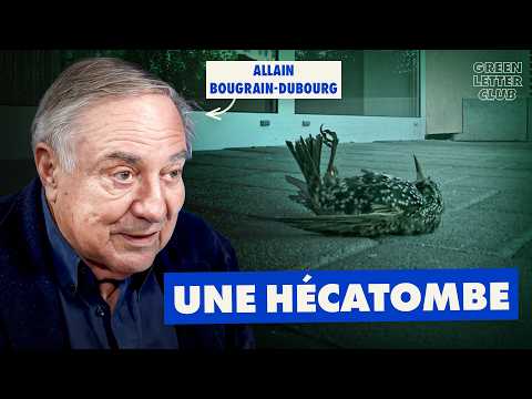 Oiseaux : l'effondrement ?