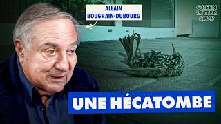 Oiseaux : l'effondrement ?